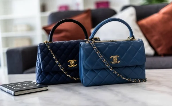 Chanel Pre-Collection Spring 2025 Bags Just Hit!